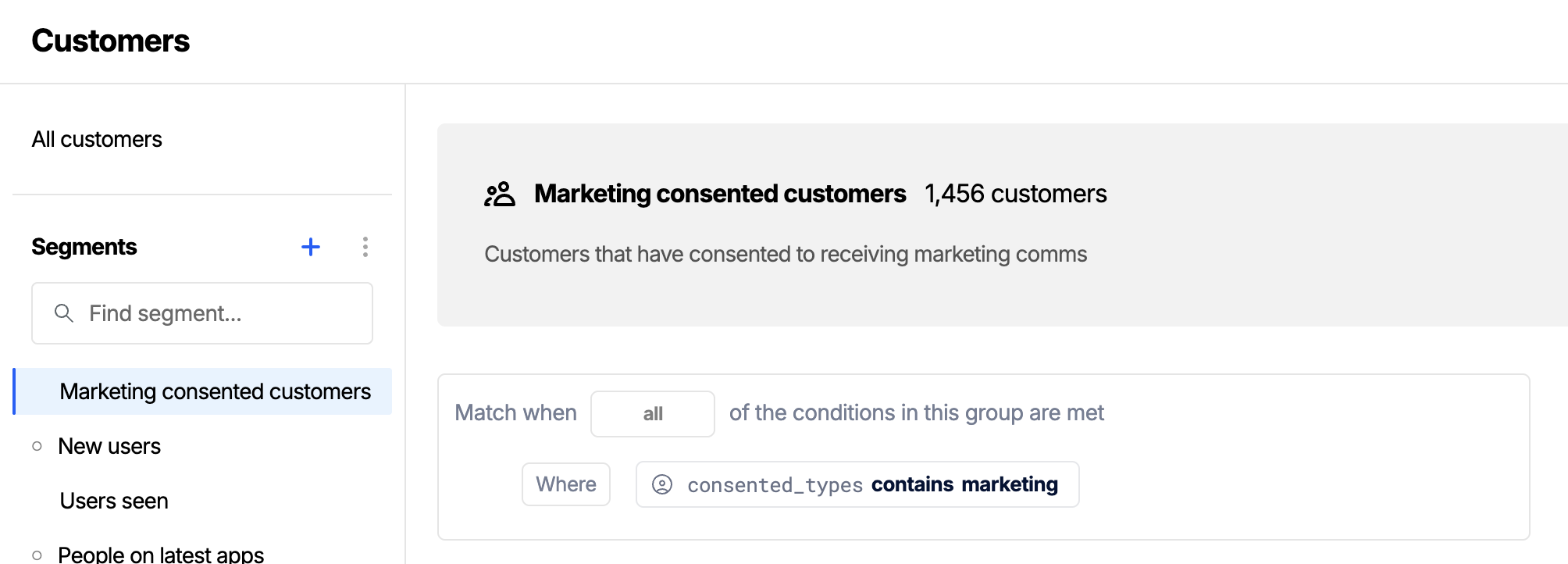Workbench view of a dynamic segment filtering customers by their consent field
